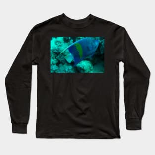 angelfish Long Sleeve T-Shirt